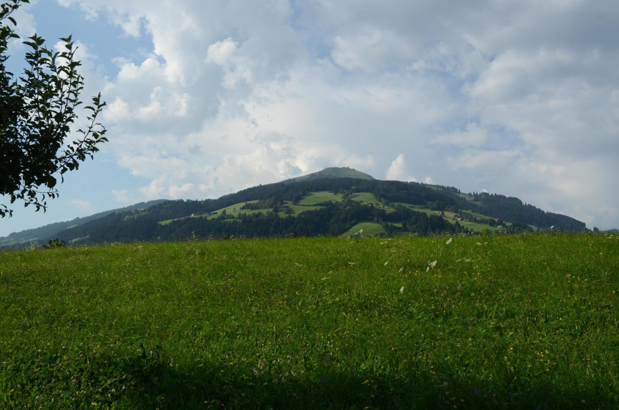 Landhaus Lindner Westendorf Dış mekan fotoğraf